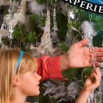 Grand Village Brochure - Interior Detail